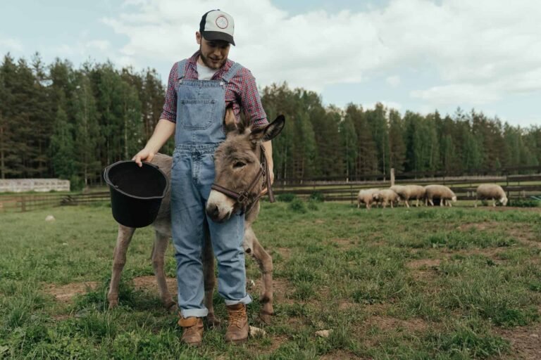 Reality Checks for Raising Animals 8 Reality Checks for Raising Animals